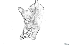 chihuahua Coloring Pages To Print